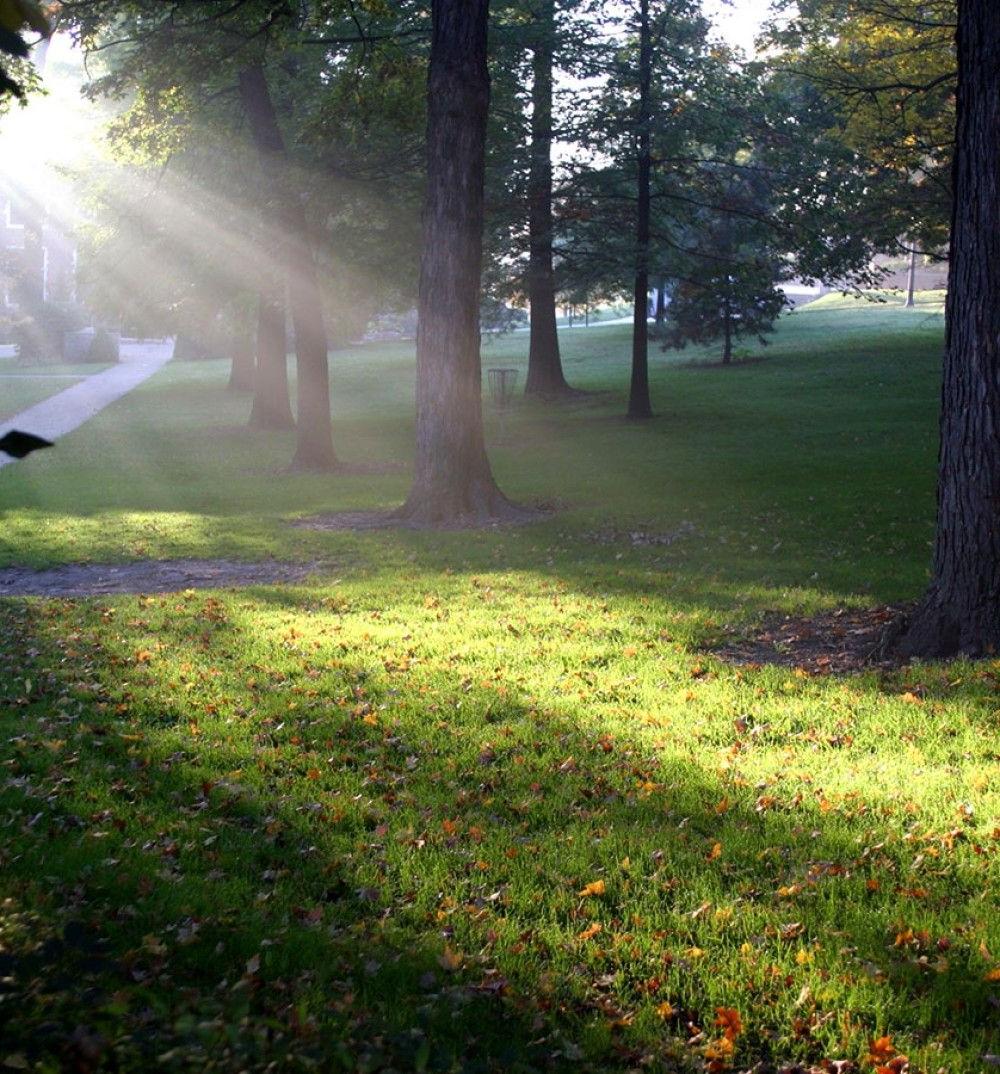 Wittenberg University Campus in the Morning